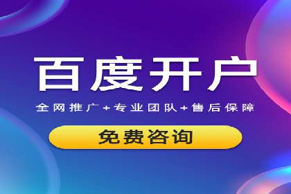 某电商平台的SEM服务全解析